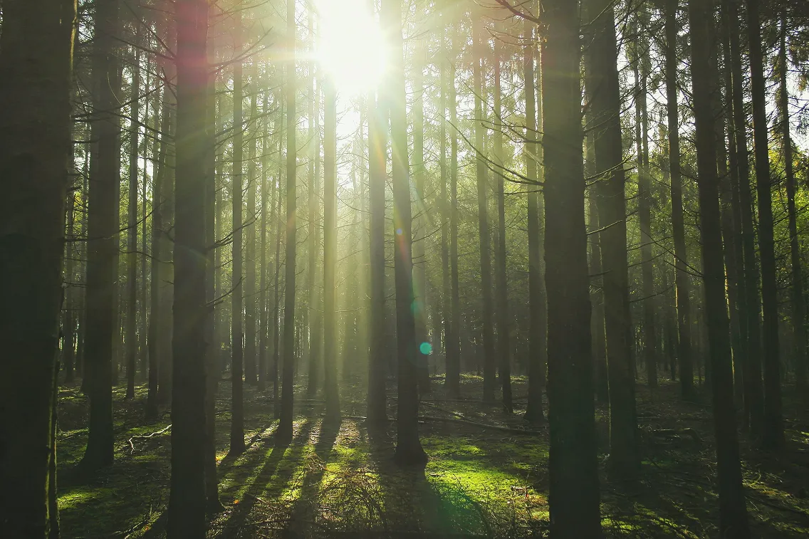 Основы КПТ. Рекомендации по общению с пациентом в депрессивном состоянии